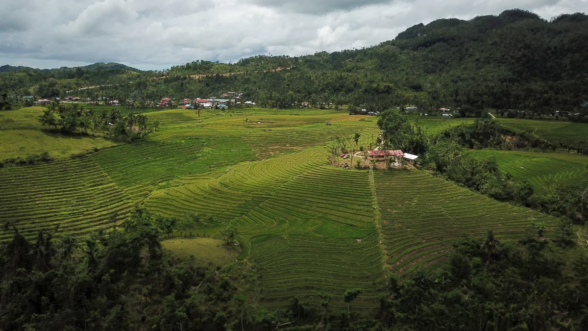 יעדים מיוחדים