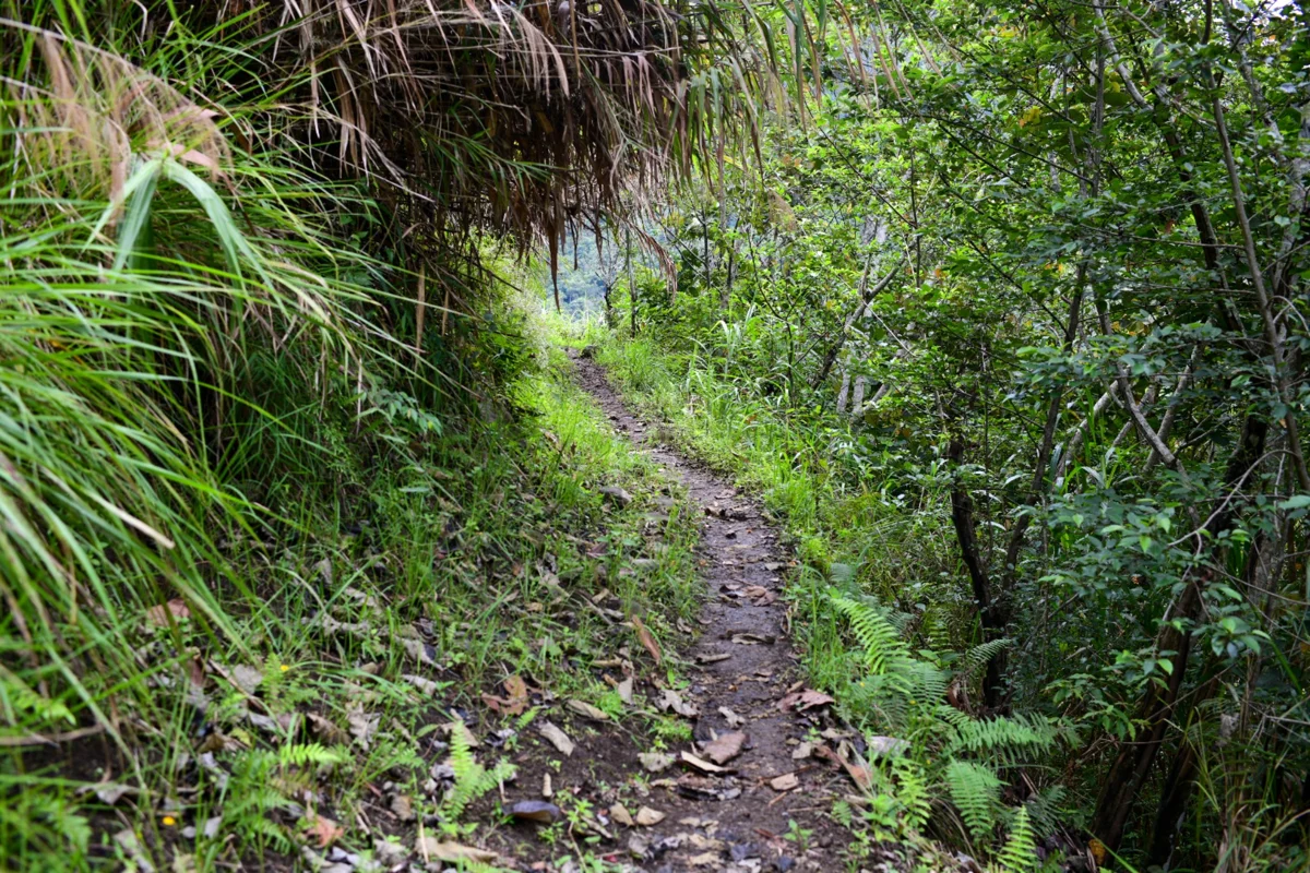 טיולי הרפתקאות